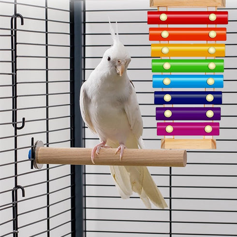 Finch Colorful Bird Xylophone Toy Interactive Training Toy Bird Cage Bell Toy Accessories Music Musical Enrichment