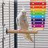 Finch Colorful Bird Xylophone Toy Interactive Training Toy Bird Cage Bell Toy Accessories Music Musical Enrichment
