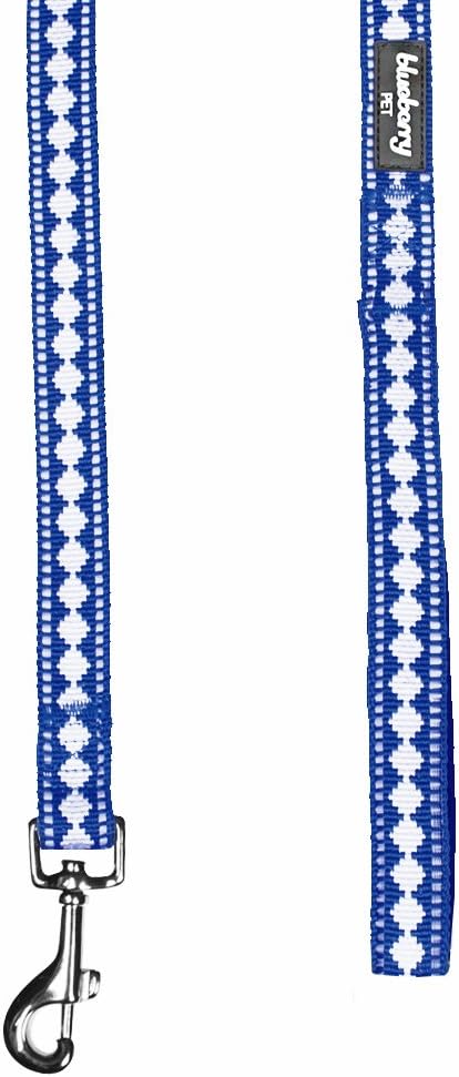 Blueberry Pet 5 ft x 5/8" Palace Blue Jacquard Dog Leash with Soft & Comfortable Handle, Small, Reflective
