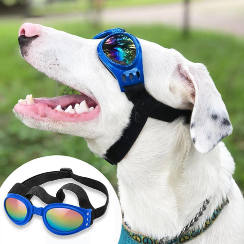 QUMY Dog Sunglasses - Goggles for Medium Large Breed Dogs, Eye Protection for Motorcycle, Car, and Swimming