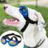 QUMY Dog Sunglasses - Goggles for Medium Large Breed Dogs, Eye Protection for Motorcycle, Car, and Swimming