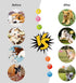 Latex Dog Chewing Squeaky Ball Toys, 6PCS/Set for Puppy Small Medium Pets