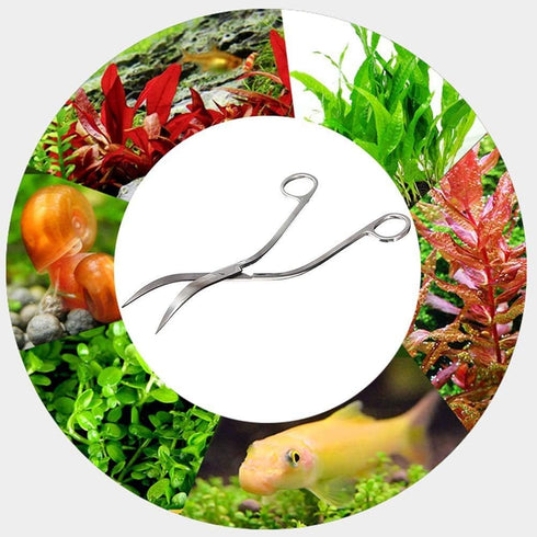 Aquarium Scissors, Stainless Steel Mirror Wave Scissors for Professional Water Grass Maintenance