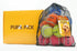 Pup’s Pick Squeaky Tennis Balls for Dogs, 12-Pack 2.5" in Bright Colors (Yellow Blue Pink Orange), Fun Fetch Balls with