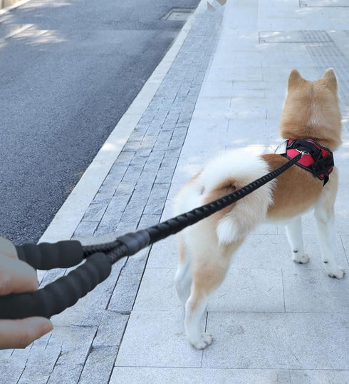 6FT 10FT Strong Dog Leash - Black Rope Leash with Highly Reflective Threads and Soft Padded Handle for Small Medium