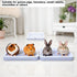 Moan&Miao Chinchilla, Generic Guinea Pig Toilet, Small Animal Potty Trainer Corner, Square Rat Litter Bedding Box