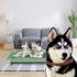 Acrimet Cooling Elevated Pet Dog Bed Cot, Washable Breathable Mesh Fabric, Stainless Steel Frame, Indoor & Outdoor,