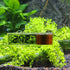 2Pcs LCD 3D Digital Electronic Temperature Measurement, Fish Tank Temp Meter, Aquarium Thermometer Accessories