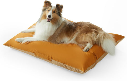Allisandro Outdoor Dog Bed Pet Pad, Tough Pet Pillow with Removable Cover, Scratch and Water Resistant, Orange/Light