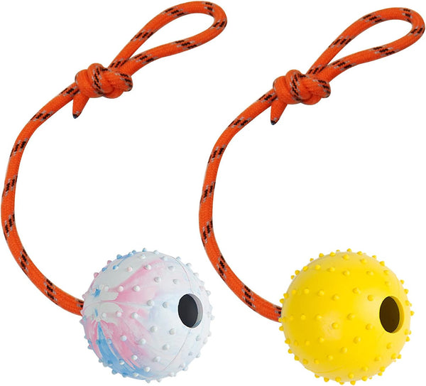 2 Pack Dog Ball, K9 Ball on Rope for Fetch, Reward, Play (6cm)