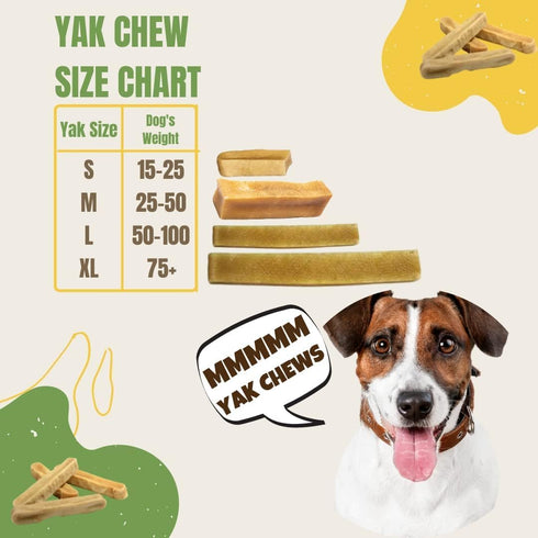 EcoKind Premium Gold Yak Cheese Himalayan Dog Chews - All Natural, High Protein Treats for Large Breed Dogs, 3 Chews