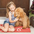Nordic Ware Puppy Love Pan, Navy, 16 Cavities