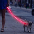 Glowing Light Up LED Dog Leash - 4ft USB Rechargeable, Flashing Nylon Leash for Small Medium Large Dogs, 3 Flash Modes