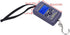 VGEBY Digit Fishing Scale, Weiheng WH-A01L Portable Plastic Electric Digital Hanging Scale with Hook Tool, 40kg*10g