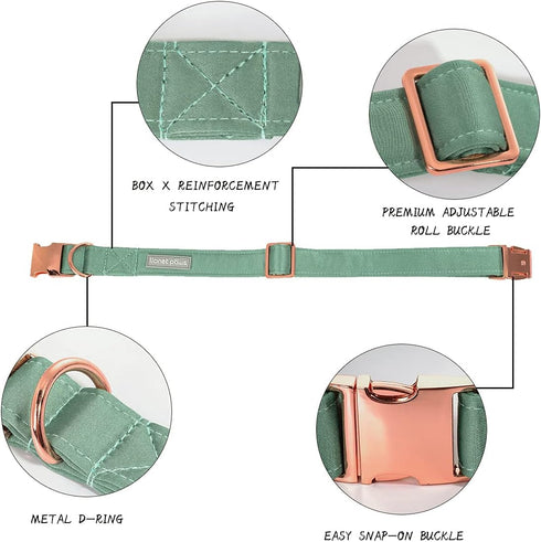 Lionet Paws Bowtie Dog Collar - Comfortable Silk Dog Collar with Detachable Bow Tie for Large Dogs, Neck 16-24 Inches