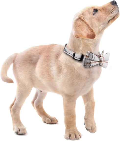 Faleela Soft & Comfy Bowtie Dog Collar - Detachable Adjustable Bow Tie Collar for Small Medium Large Pets