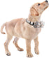 Faleela Soft & Comfy Bowtie Dog Collar - Detachable Adjustable Bow Tie Collar for Small Medium Large Pets