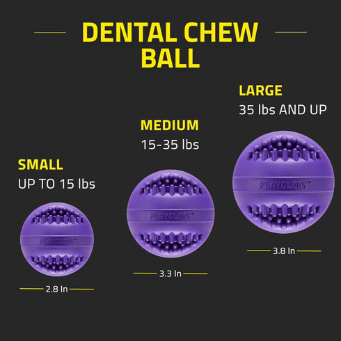 Playology Silver Dental Chew Ball Dog Toy, Large - All-Natural Pork Sausage Scent for Senior Dogs (35lbs+)
