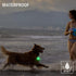 2-Pack Dog Light with USB Rechargeable, Color Changing Safety Lights for Night Walking, Attach to Collar or Leash