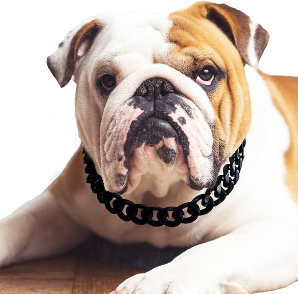Cuban Link Dog Collar - 3/4 in Wide Metal Chain Collar in Venom Black, Stunning Pet Accessory, Cute Luxury Jewelry 16