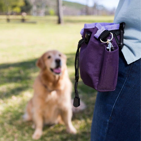 Company of Animals Treat Bag, Purple, Waterproof Pouch with Zipped Pockets & Drawstring, Clips on Belt or Pocket