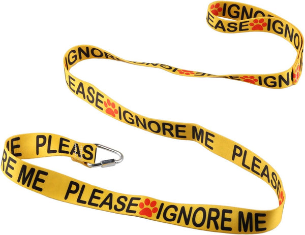 Funny Dog Leash, "Please Ignore Me" Design for Walking and Training, Perfect Gift for Dog Owners