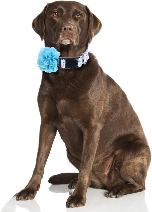 2 Pack Floral Dog Collar with Removable Flower, Adjustable Nylon Pet Collars for Large Dogs