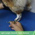 HASHIMOTO Curved Scissors for Dog Grooming, Extremely Light Weight, 6.5 inch, 30 Degree Curved Blade, Matt Surface