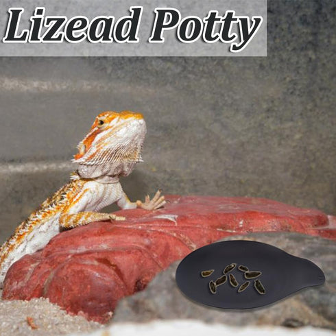 10Pcs Leopard Gecko Potty Pad Plastic Potty Latrine/Plate Reptile Lizard Gecko Latrine Trays Carpet Liner Terrarium Mat