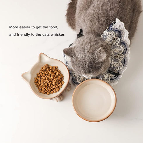 Nihow Elevated Cat/Dog Bowls: 5 Inch Ceramic Raised Food & Water Bowl Set, Elegant Brown for Protecting Pet's Spine