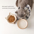 Nihow Elevated Cat/Dog Bowls: 5 Inch Ceramic Raised Food & Water Bowl Set, Elegant Brown for Protecting Pet's Spine