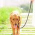 Adjustable Heavy Duty Dog Slip Lead and Snap Hook Leash, 2/5" x 5 FT Braided Rope for Large Medium Dogs