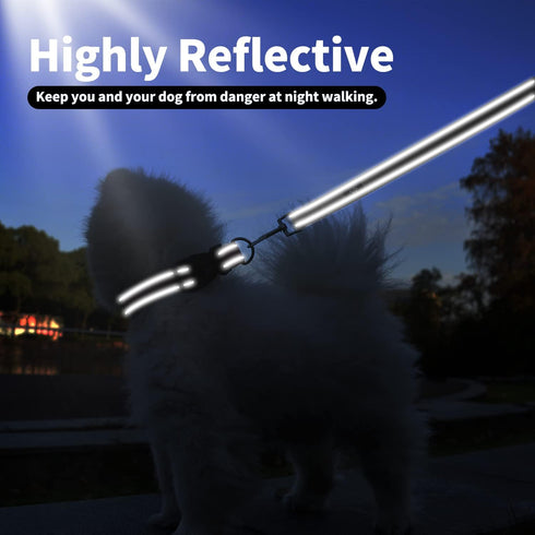 IVY&LANE Reflective Dog Collar and Leash Set - Adjustable Neoprene Padded Collars for Puppy, 5FT Nylon Leash (Medium,