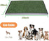 (20x25) LITA Indoor Dog Litter Box for Pet Training, Potty System