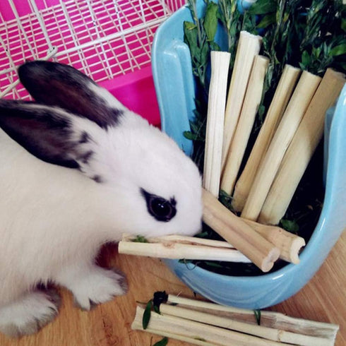 Tfwadmx Small Animal Snacks Sweet Bamboo Molar Treats 200 g, Bunny Chew Toys for Chinchilla Rabbit Guinea Pig