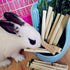 Tfwadmx Small Animal Snacks Sweet Bamboo Molar Treats 200 g, Bunny Chew Toys for Chinchilla Rabbit Guinea Pig