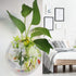 2Pack 5.9'' Wall Mounted Clear Acrylic Round Fish Tank Flower Pot Vase, Wall Hanging Mount Fish Bowl