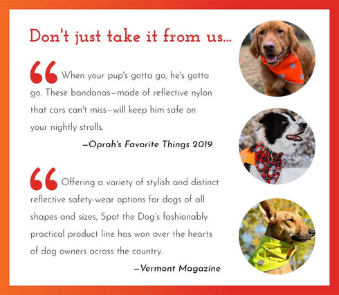 SPOT THE DOG! Reflective Dog Bandanas - High Visibility Safety Dog Accessories for Small, Large Dogs, Orange Collar