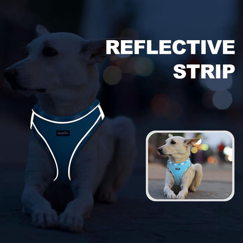 Dog Harness with Leash Set, No Pull Adjustable Reflective Step-in Puppy Harness with Thickened Padded Vest for