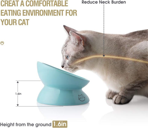 Sweejar Ceramic Raised Cat Bowls - Turquoise | Slanted Cat Dish for Food or Water, Elevated Porcelain Pet Feeder Bowl
