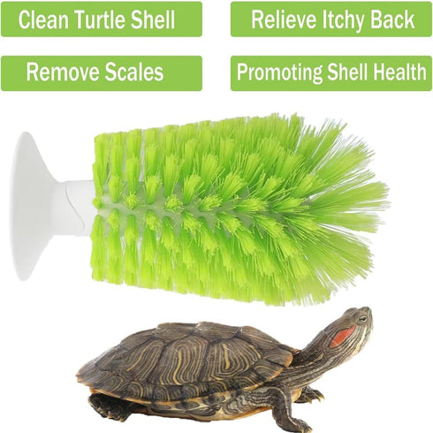 Turtle Brush with Suction Cup for Tank Scratches - Back Scrub and Shell Cleaning for Red Eared Slider - Exfoliate
