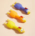 Hoiasem 3 PCS Latex Chicken Squeak Toy for Pets - Exciting Chew & Dental Care Fun - Perfect for Playful Molar Exercise