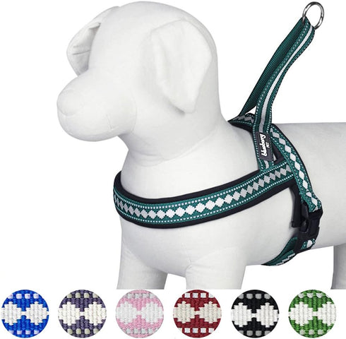 Blueberry Pet 6 Colors Soft & Comfy Jacquard Padded Dog Harness, Teal Blue, S/M, Chest Girth 21.5" - 27.5"