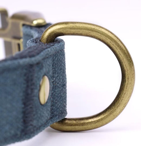 PET ARTIST Dog Collars for Medium Dogs, Heavy Duty Nylon with Quick Release Metal Buckle, Soft Padded Blue Collar, M