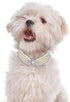 Dogs Kingdom 4 Rows Bling Rhinestone Heart Decor Collar Necklace, Dog Cat Pearls Necklace, White, M:10-12" Neck