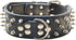 Studded Dog Collar, 2" Leather Spiked Collar for Medium Large Dogs (M:17-20 inch, Black-1)