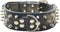 Spiked Leather Dog Collar, Bullet Rivets Studded 2 Inch Width for Medium & Large Dogs (Black, L)