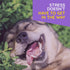 T-Relief Pet Calming Drops, Natural Comfort Remedy & Nervousness Relief with Chamomile + 9 Homeopathic Stress Relieving
