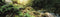 Galápagos (05400) Terrarium Background Clings, 11.125" x 36", Woodland