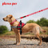 Plutus Pet Service Dog Leash with Soft Neoprene Padded Handle, Printed in Large Letters, 4ft Long, Red, 1" Wide for
